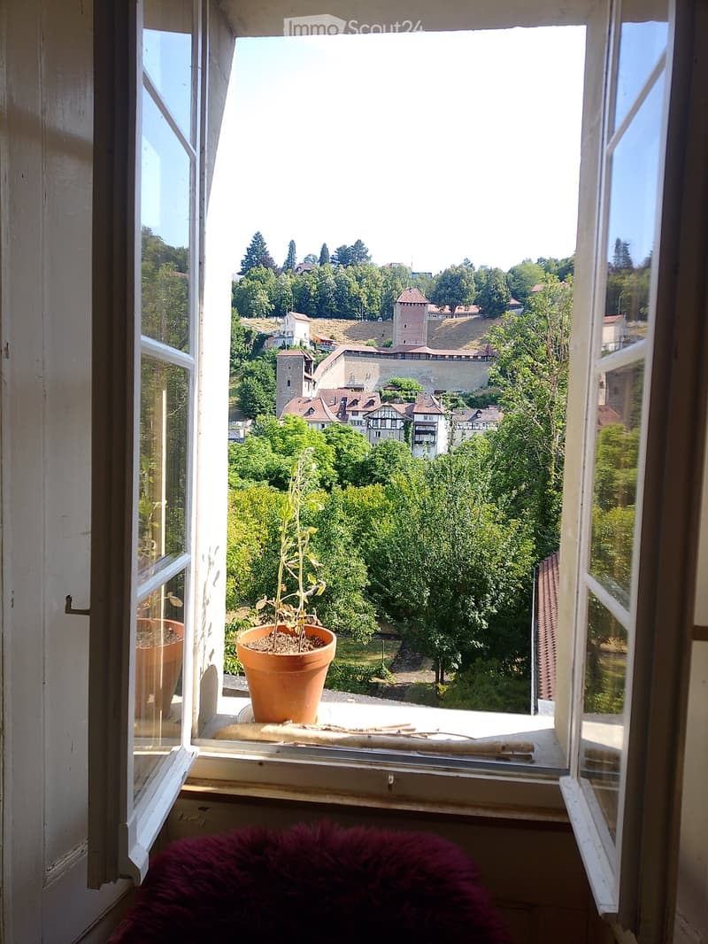 Grand 2 pièces en basse-ville Fribourg (5)