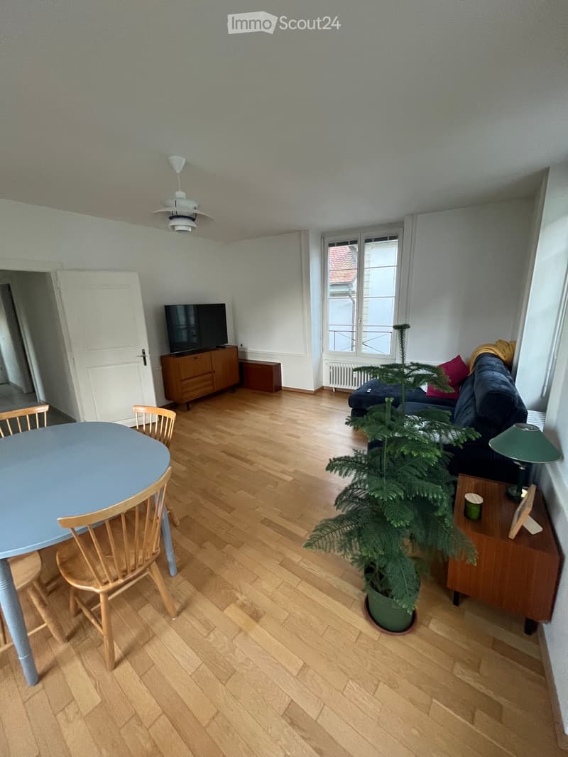 2,5 pièces appartement (1)