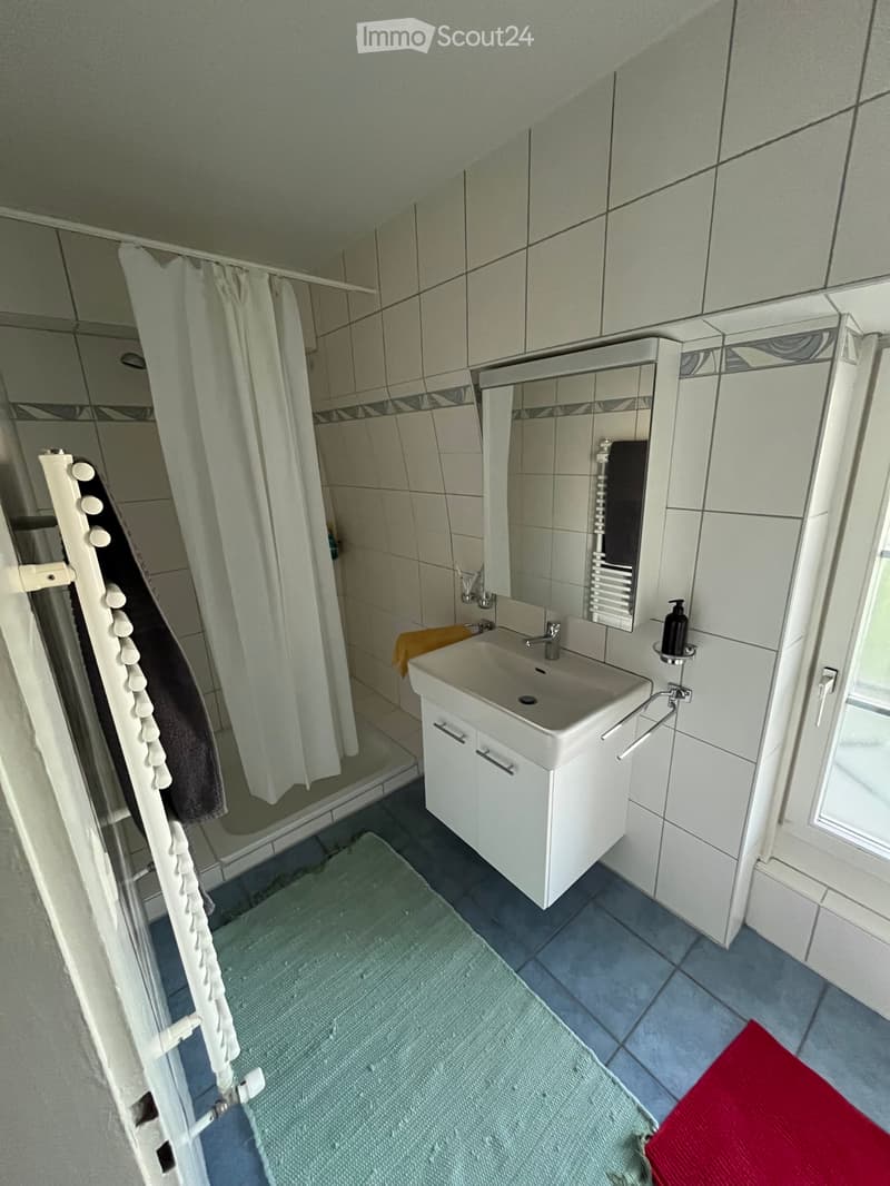 2,5 pièces appartement (5)