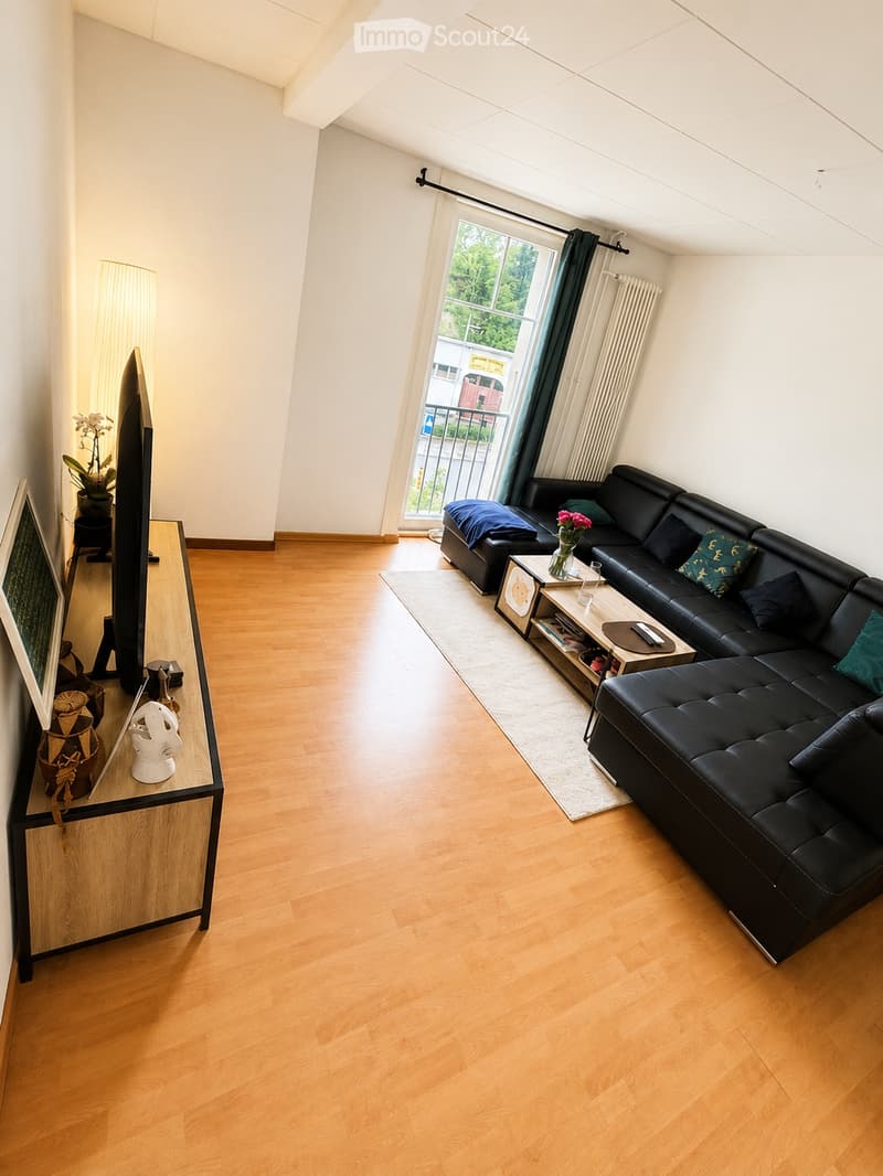 Schönes helles Apartment - 3,5 Zimmer (4)
