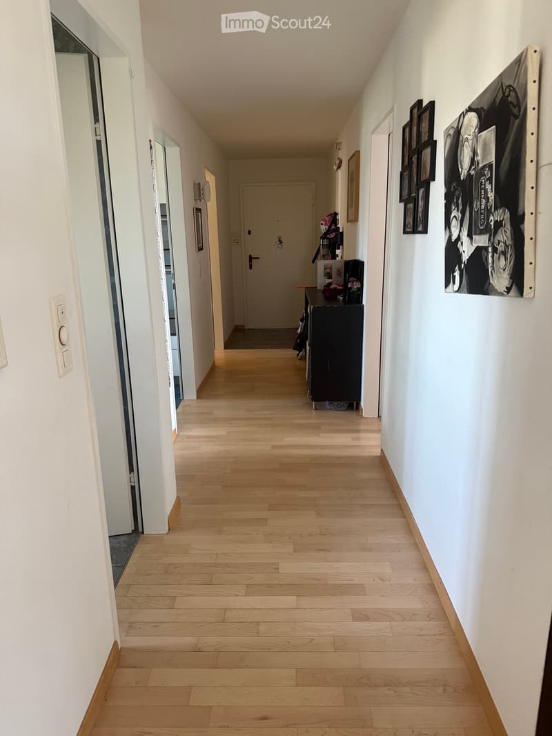 Bello appartamento di 4,5 locali in affitto a Düdingen (3)