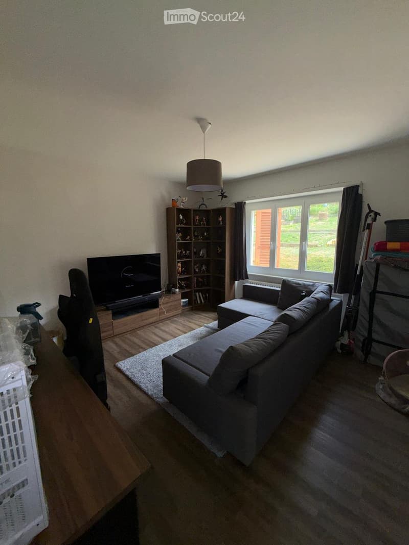 Appartement Le Locle 3.5 (4)