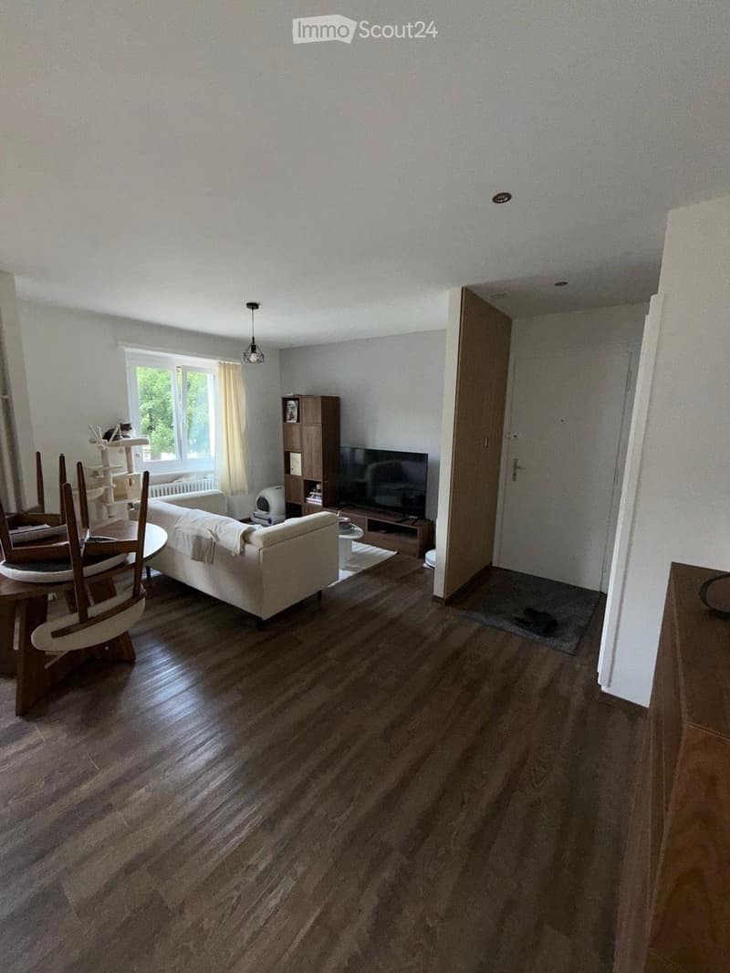 Appartement Le Locle 3.5 (2)