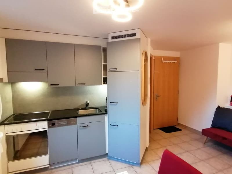 ab sofort, moderne 2.5 Zi. mit Balkon, Lift, PP, WiFi, möbl. (3)