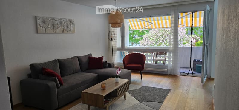 Möblierte 3.5-Zimmer-Wohnung in Erlach (1)