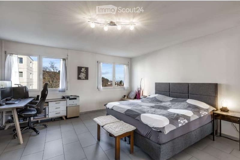 Zu verkaufen 3 Zimmer, Colombier (3)
