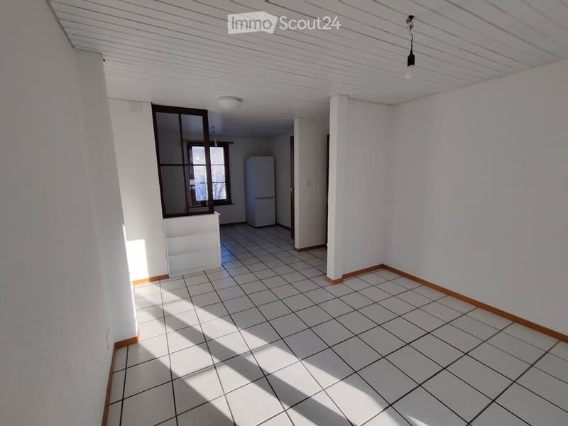 Joli appartement 2,5 pièces (1)