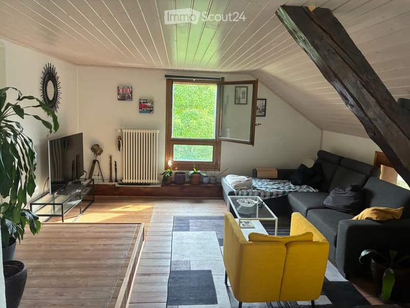 Apartment for Rent (1)