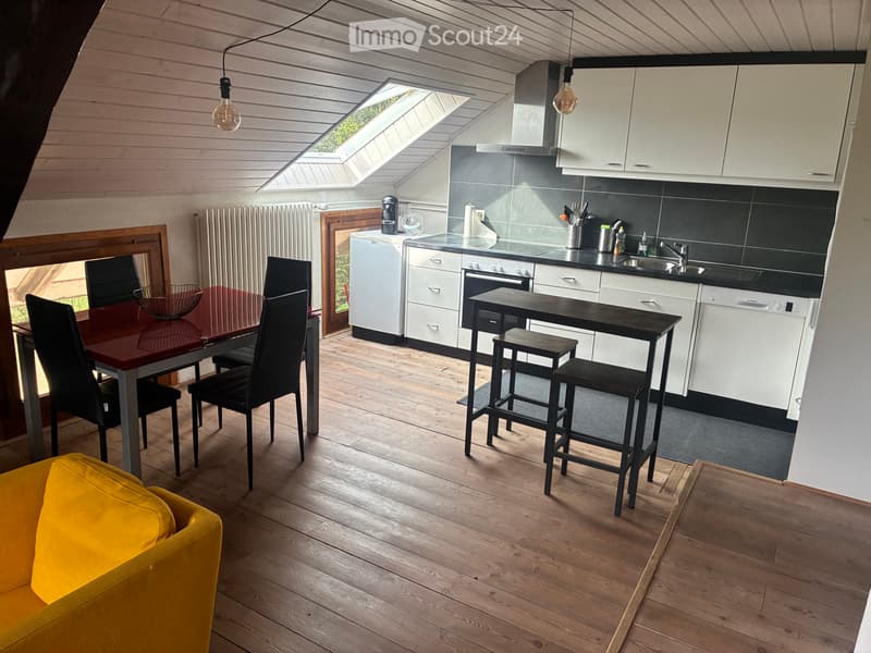 Apartment for Rent (2)