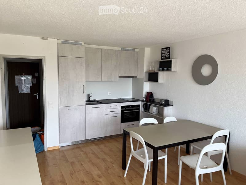 Thyon 2000 Apartment (1)