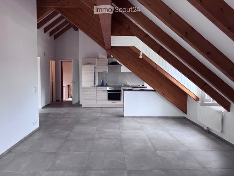 3.5 rooms with renovated charm Boussens (3)