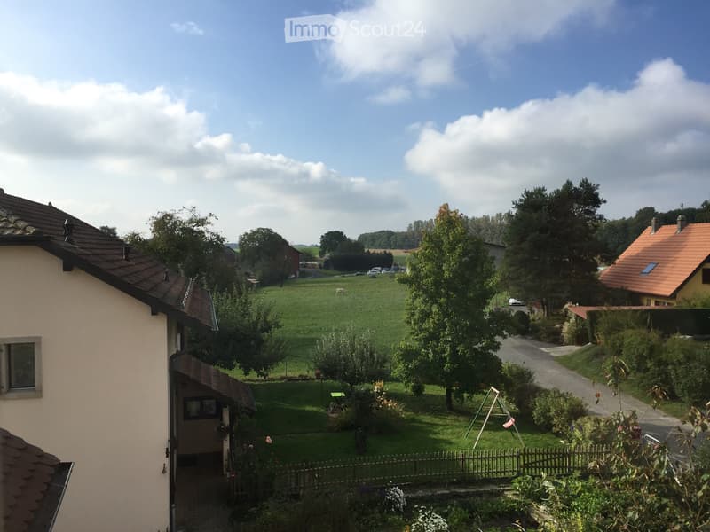 3.5 rooms with renovated charm Boussens (2)
