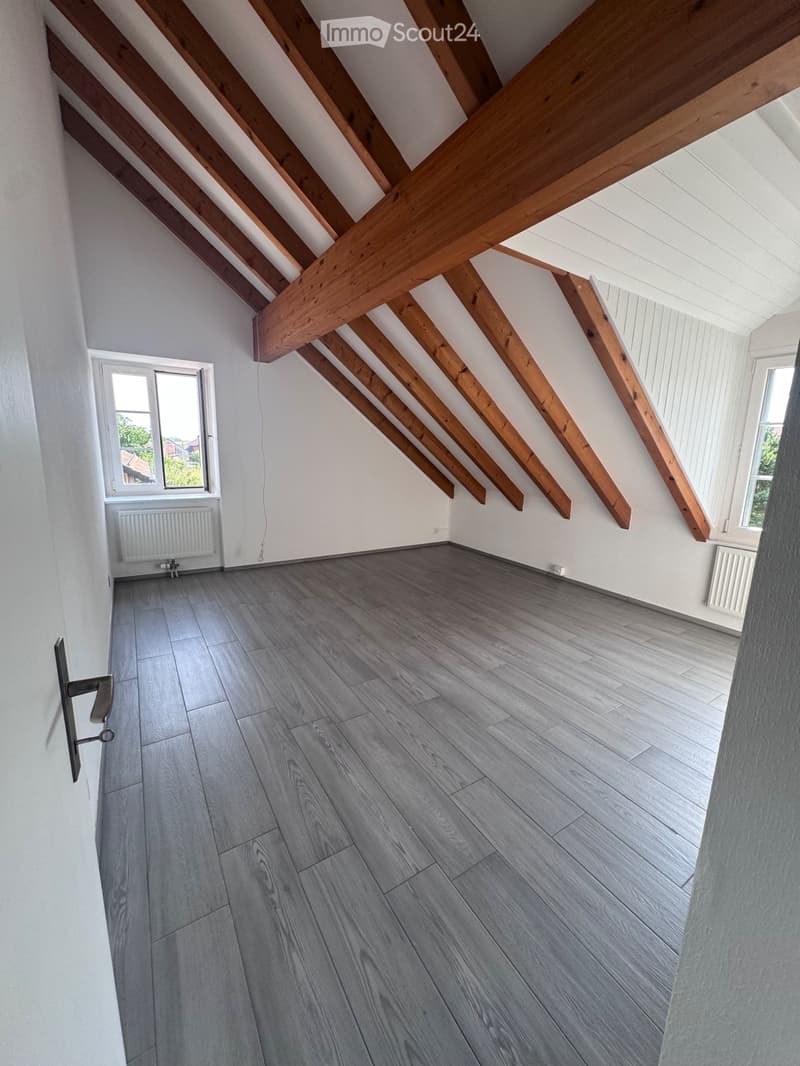 3.5 rooms with renovated charm Boussens (5)