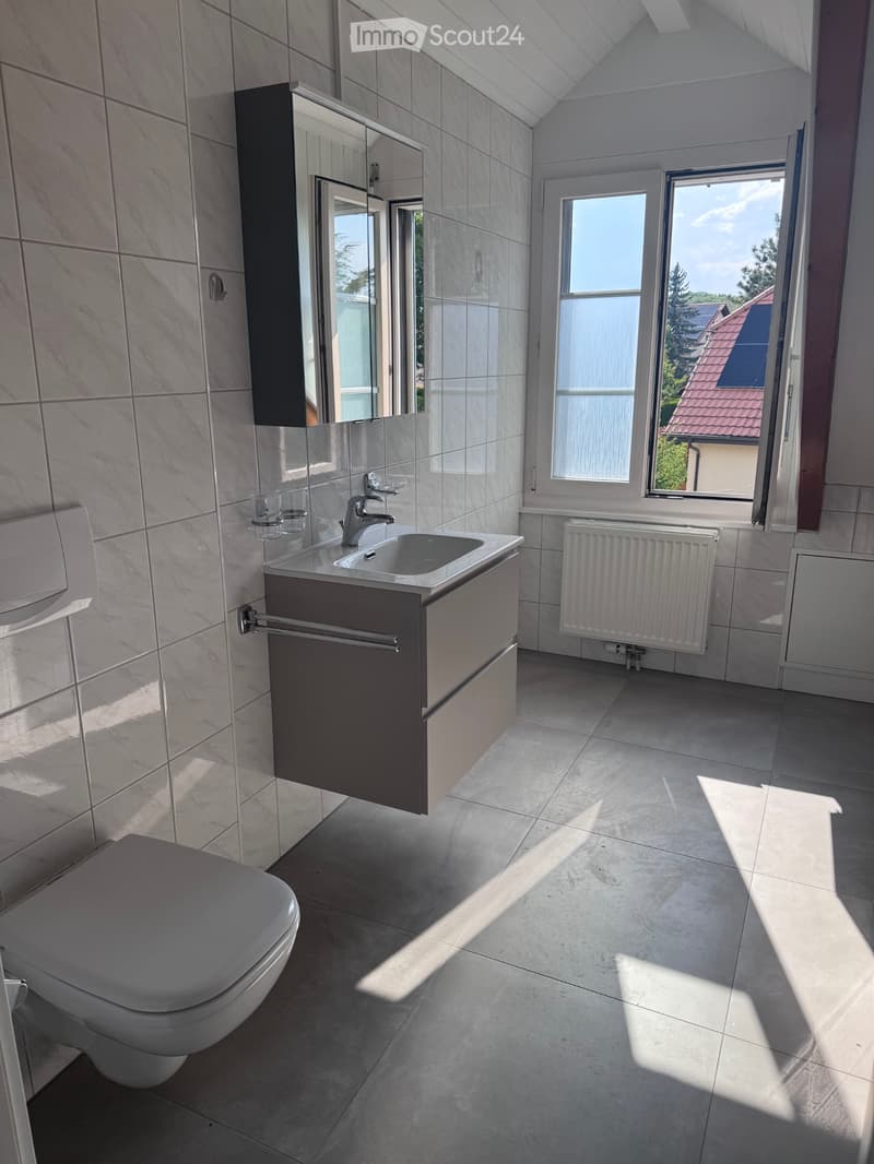 3.5 rooms with renovated charm Boussens (4)