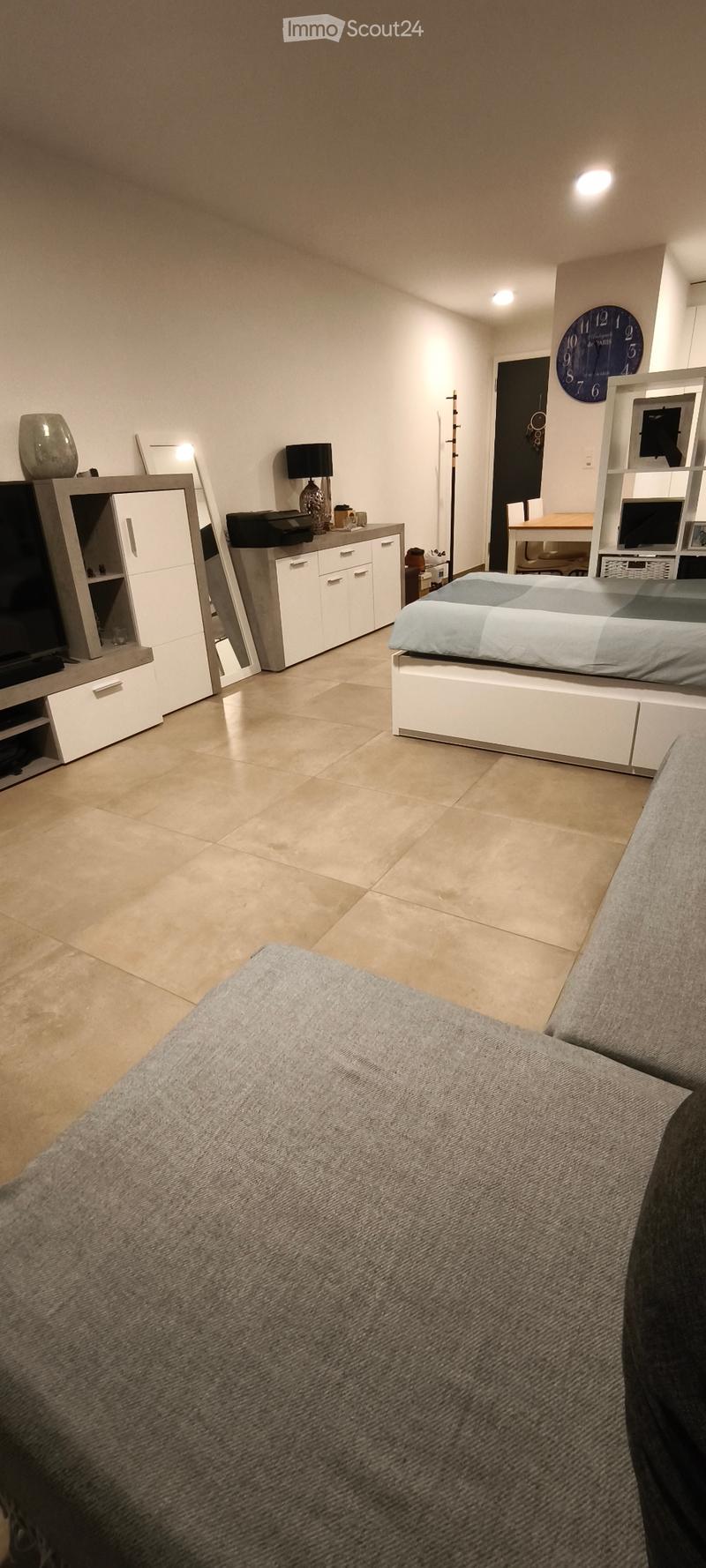 Appartement 1.5 pièces au 1er étage (2)
