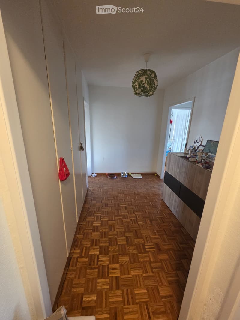Appartement à La Tour-de-Peilz (4)