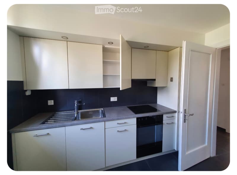 Magnifique appartement 4.5 p (3)