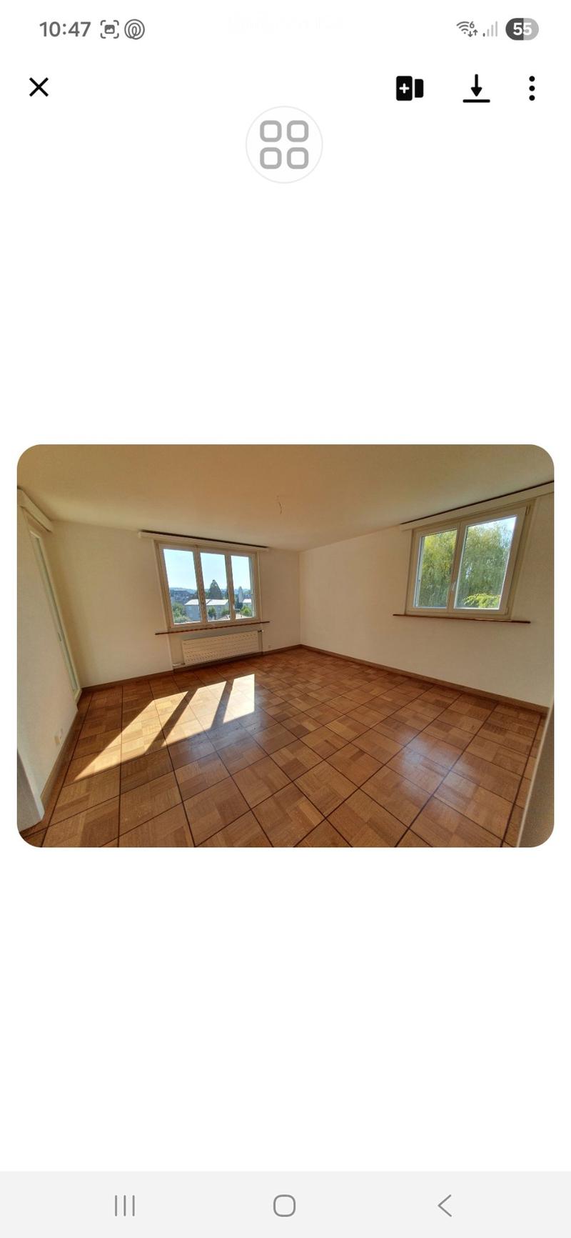 Magnifique appartement 4.5 p (4)