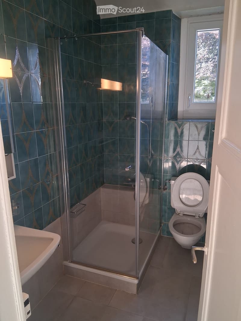 Helles 3-Zimmer-Apartment im Zentrum von Sainte-Croix (5)