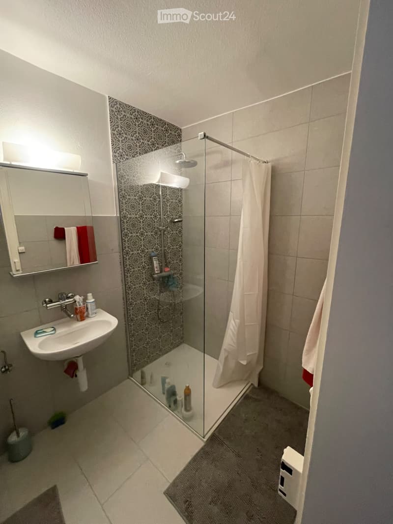 3-room apartment (5)