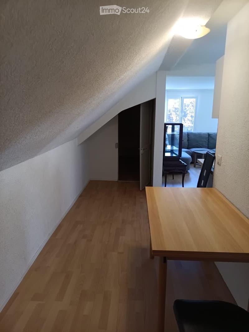 Schöne Dachwohnung zu vermieten (3)