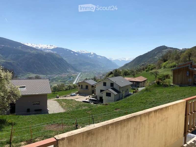 Appartement 4.5 pièces, jardin, calme et vue (1)