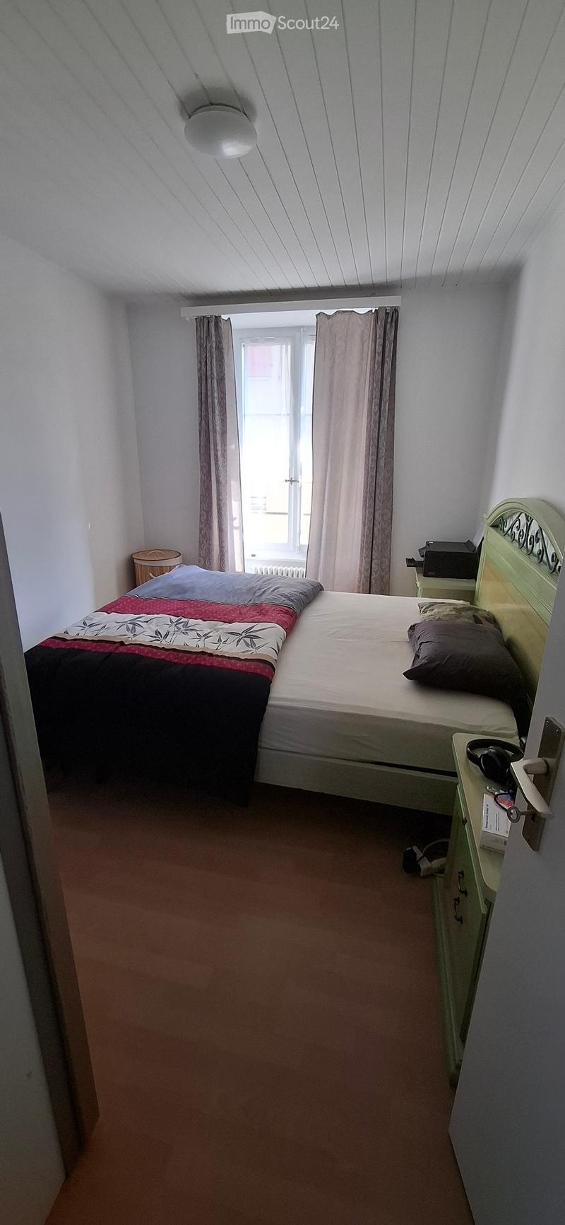 Bello appartamento rinnovato (3)
