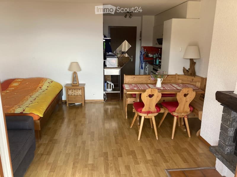 Nice furnished studio for 1 to 6 months (2)