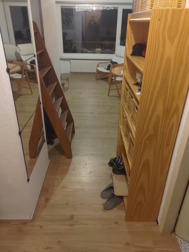 Schönes sonnendurchflutetes Apartment (3)