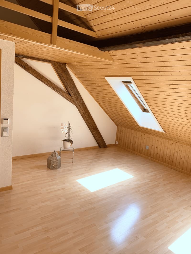 Charmant appartement mansardé proche de la nature (2)