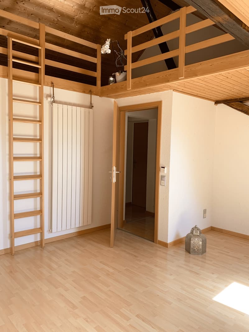 Charmant appartement mansardé proche de la nature (4)