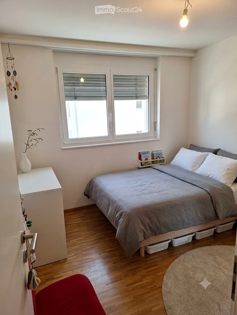 Lage 3.5 Zimmer kleine Wiese (5)