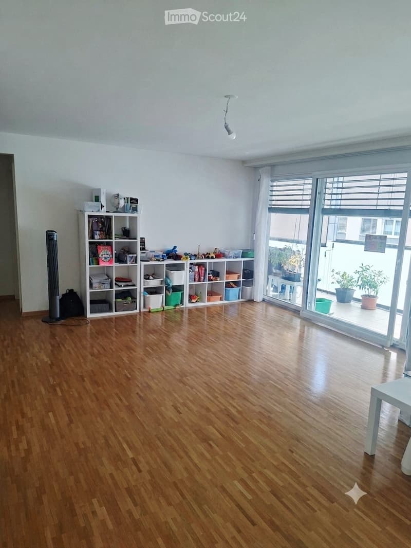 Lage 3.5 Zimmer kleine Wiese (2)
