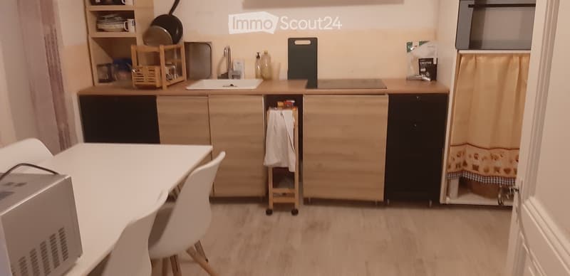 Libre de suite, grande chambre dans bel appartement meublé (5)