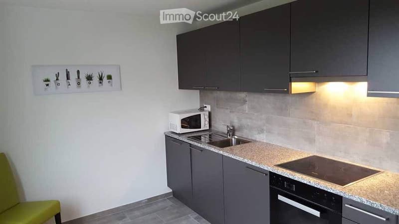 Chambres meublées neuves tout confort (2)