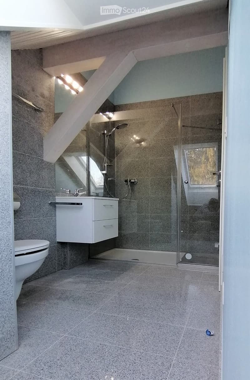 Magnificent Architect's Villa in Penthaz (near Lausanne) (8)