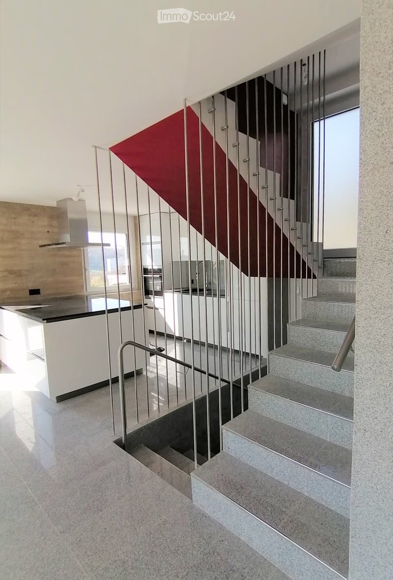 Magnificent Architect's Villa in Penthaz (near Lausanne) (9)