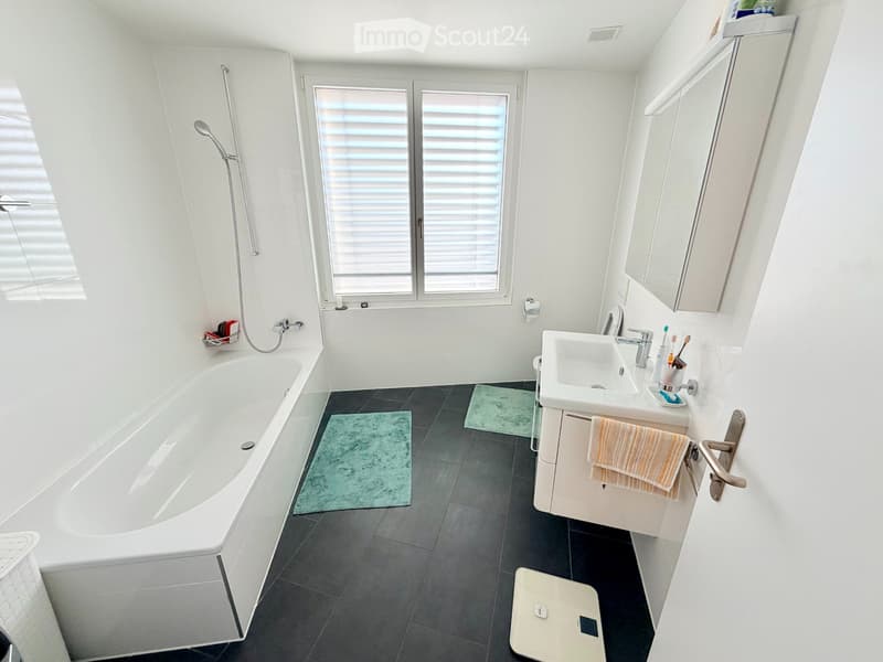 Appartement moderne très spacieux et idéalement situé (4)