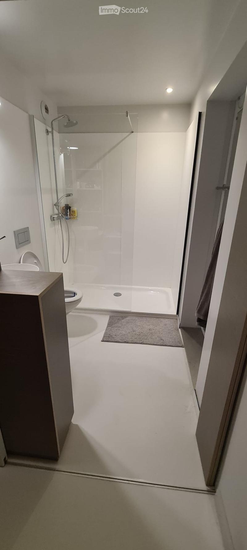 Nyon centre 1.5 pièce 30m2 (5)