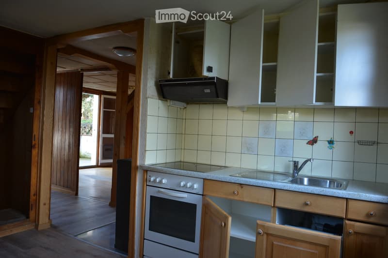 Detached house with garden for rent (5)