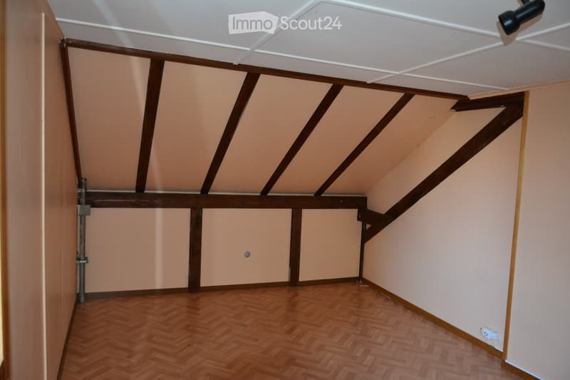 Detached house with garden for rent (4)