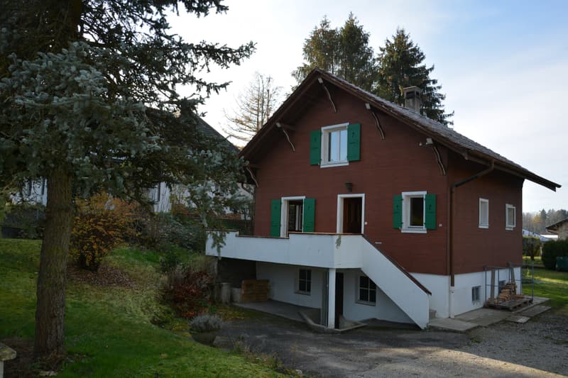 Detached house with garden for rent (2)