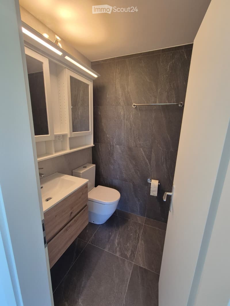 Moderne 3.5-Zimmer-Wohnung zur Miete in Crans-Montana (4)