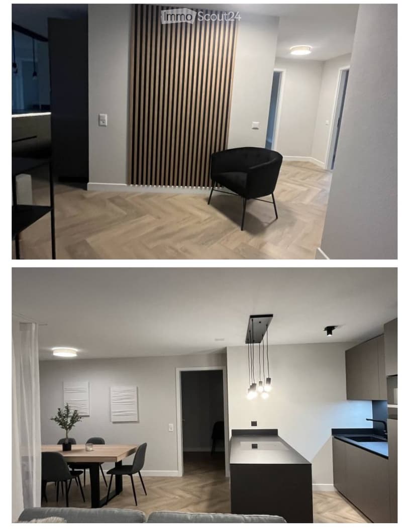 Sehr schönes modernes 4.5-Zimmer-Apartment in Yverdon-les-Bains (1)