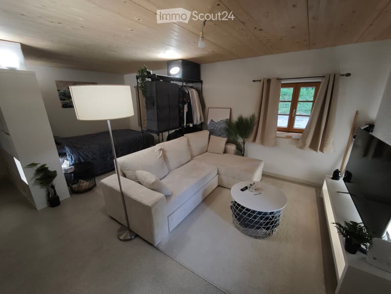 Monolocale di 37 m² in affitto a Ecoteaux (4)