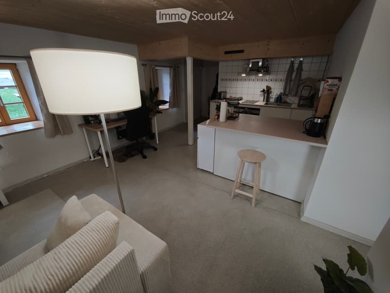 Monolocale di 37 m² in affitto a Ecoteaux (2)