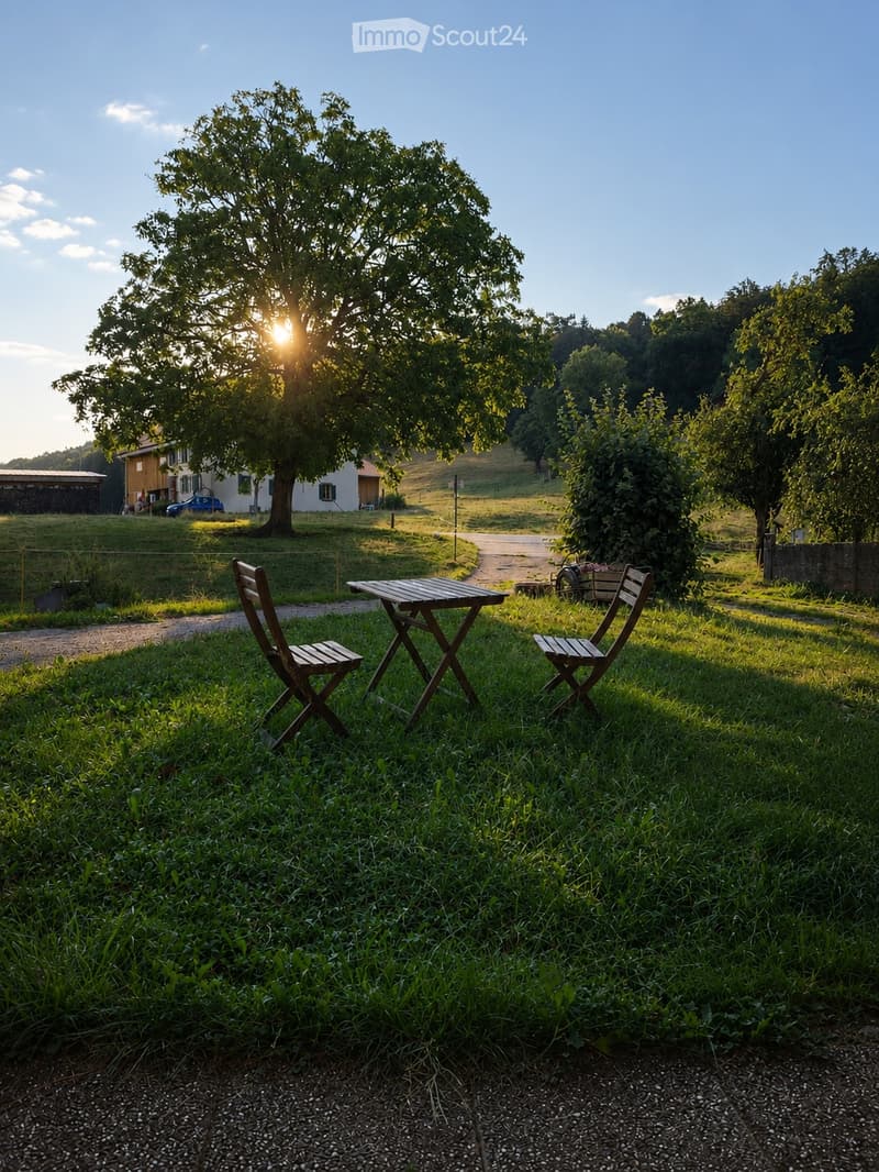 Monolocale di 37 m² in affitto a Ecoteaux (5)