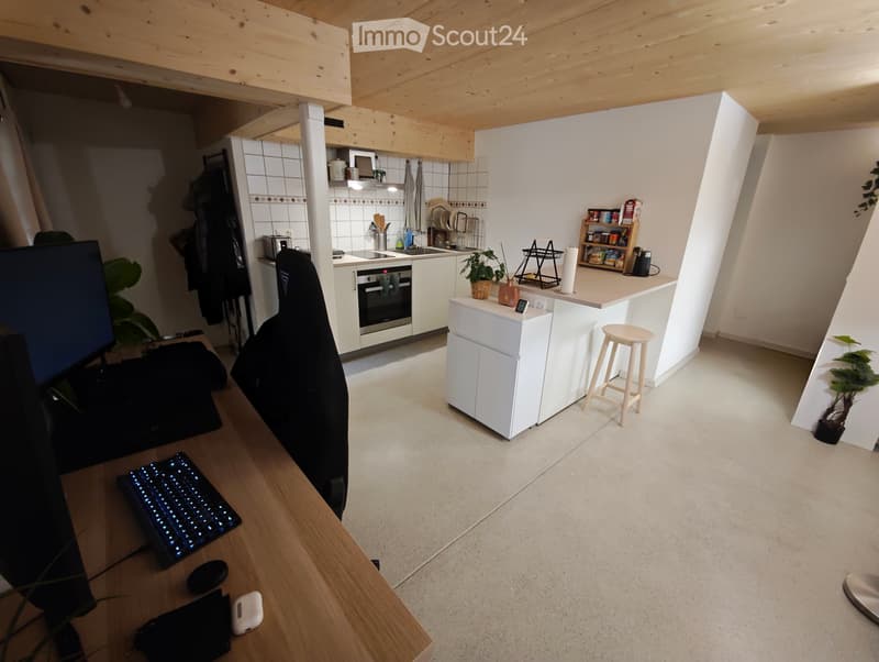 Monolocale di 37 m² in affitto a Ecoteaux (1)