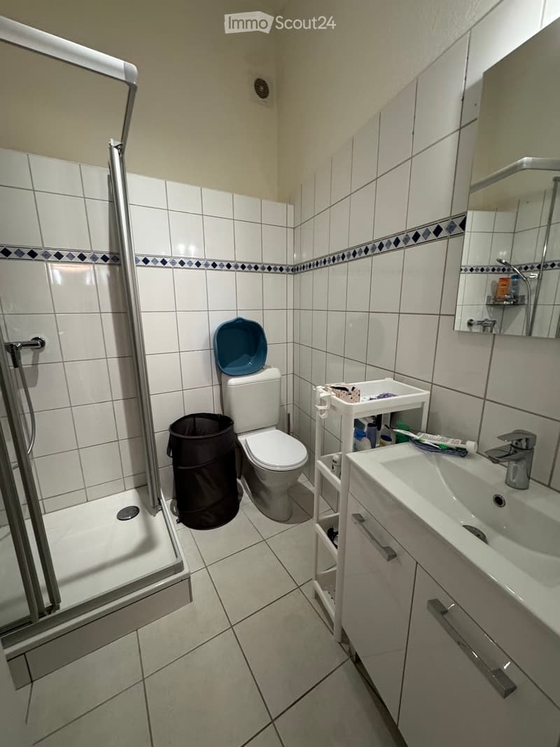 Furnished independent studio with terrace (5)