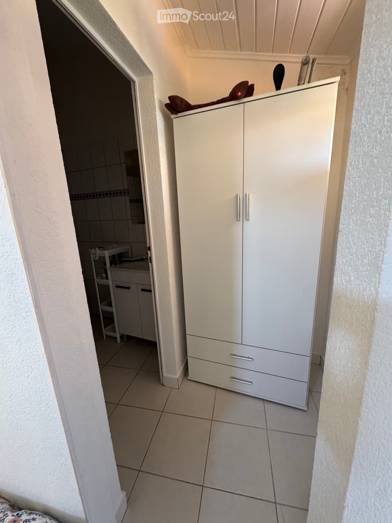 Furnished independent studio with terrace (4)